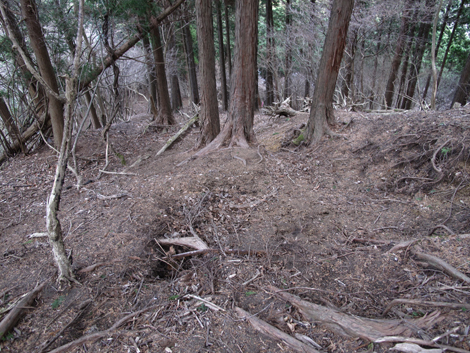 20160121hike (186)